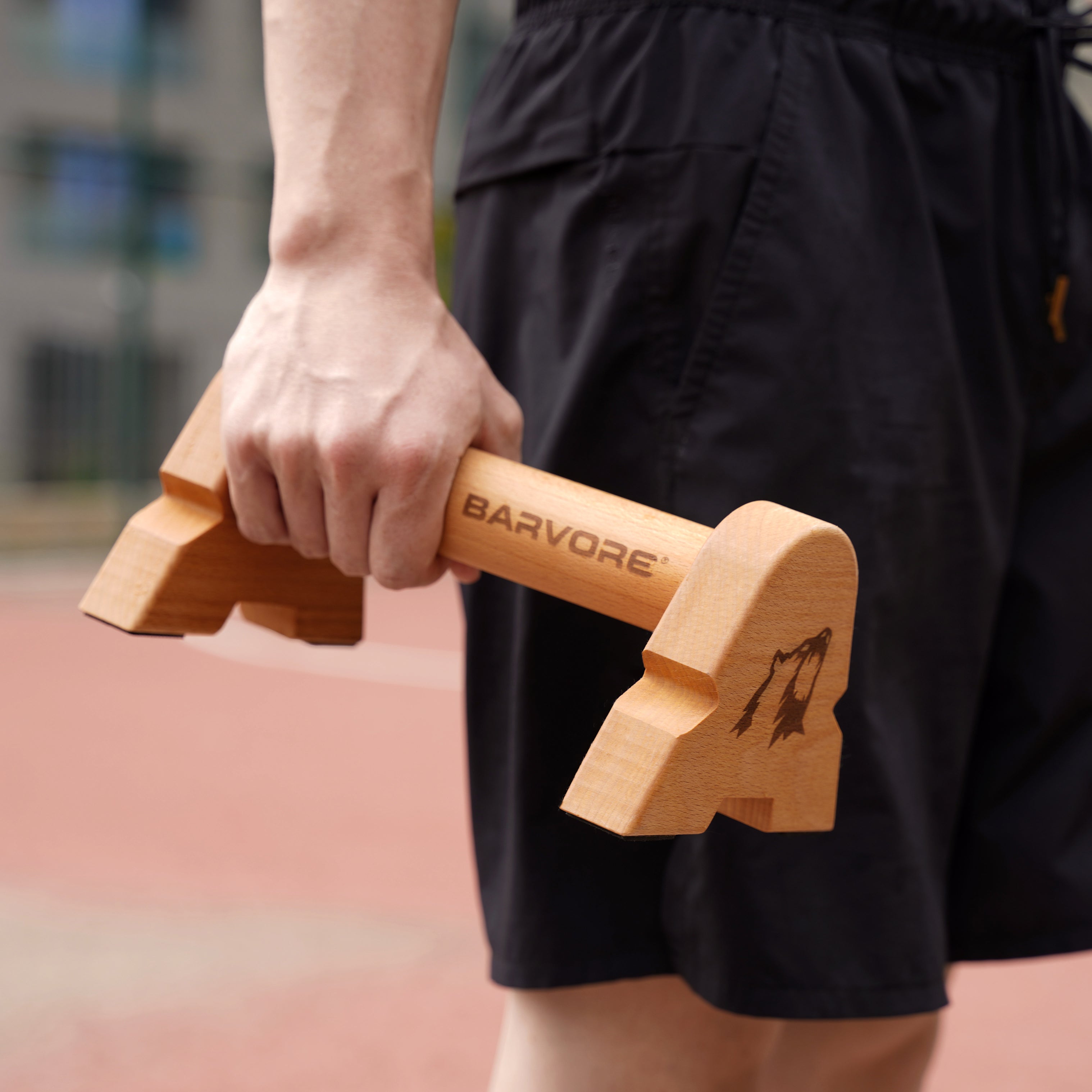 WOODEN PARALLETTES W20