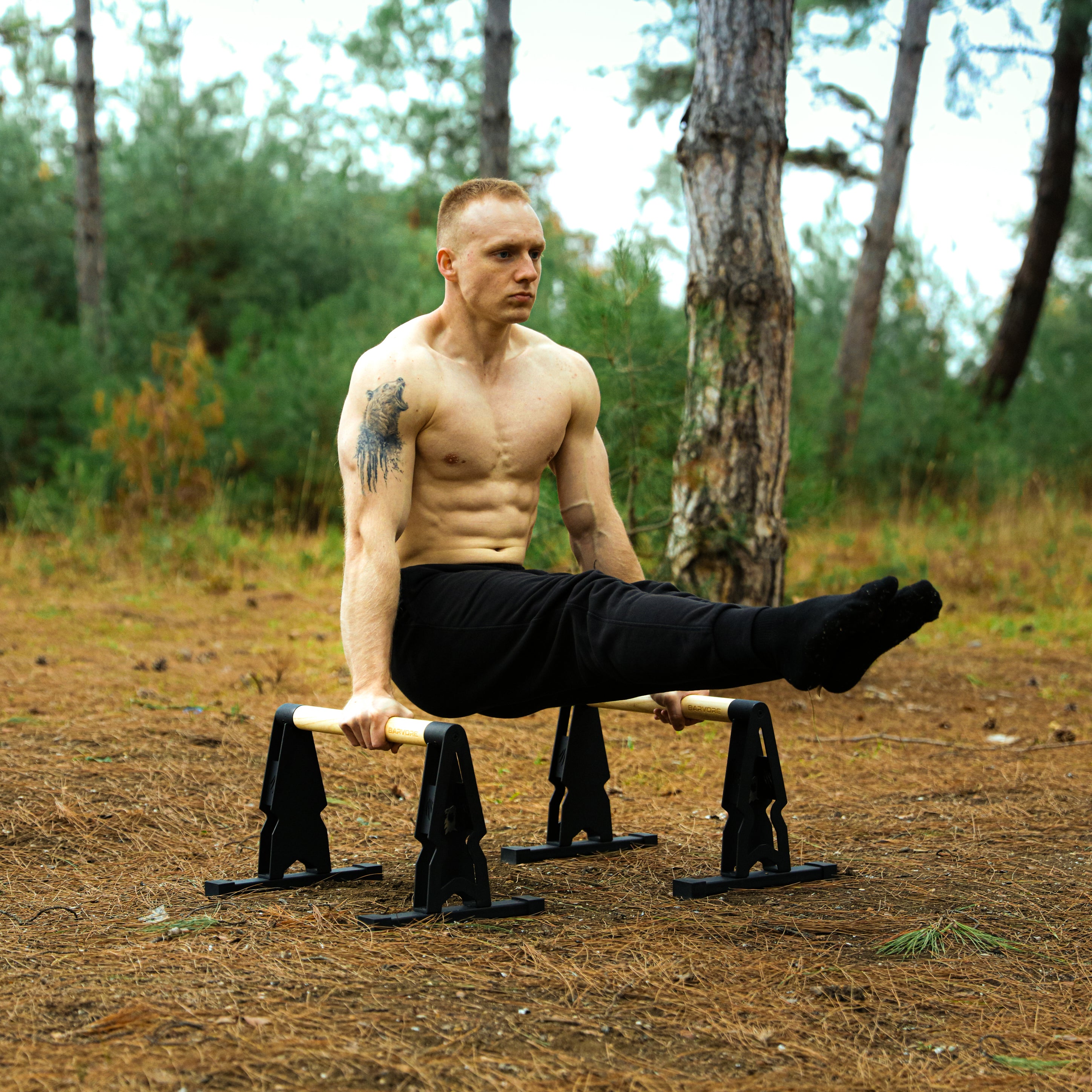 BIG BEAR PARALLETTES