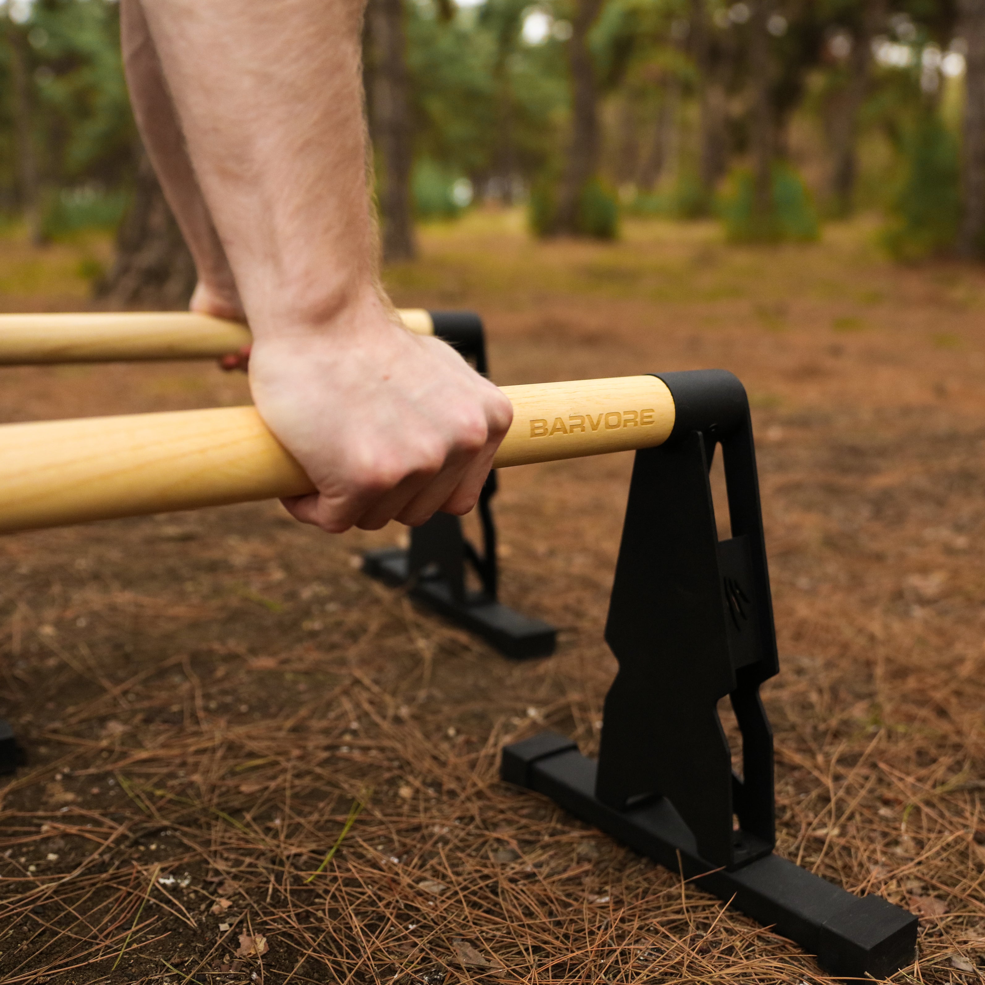 BIG BEAR PARALLETTES