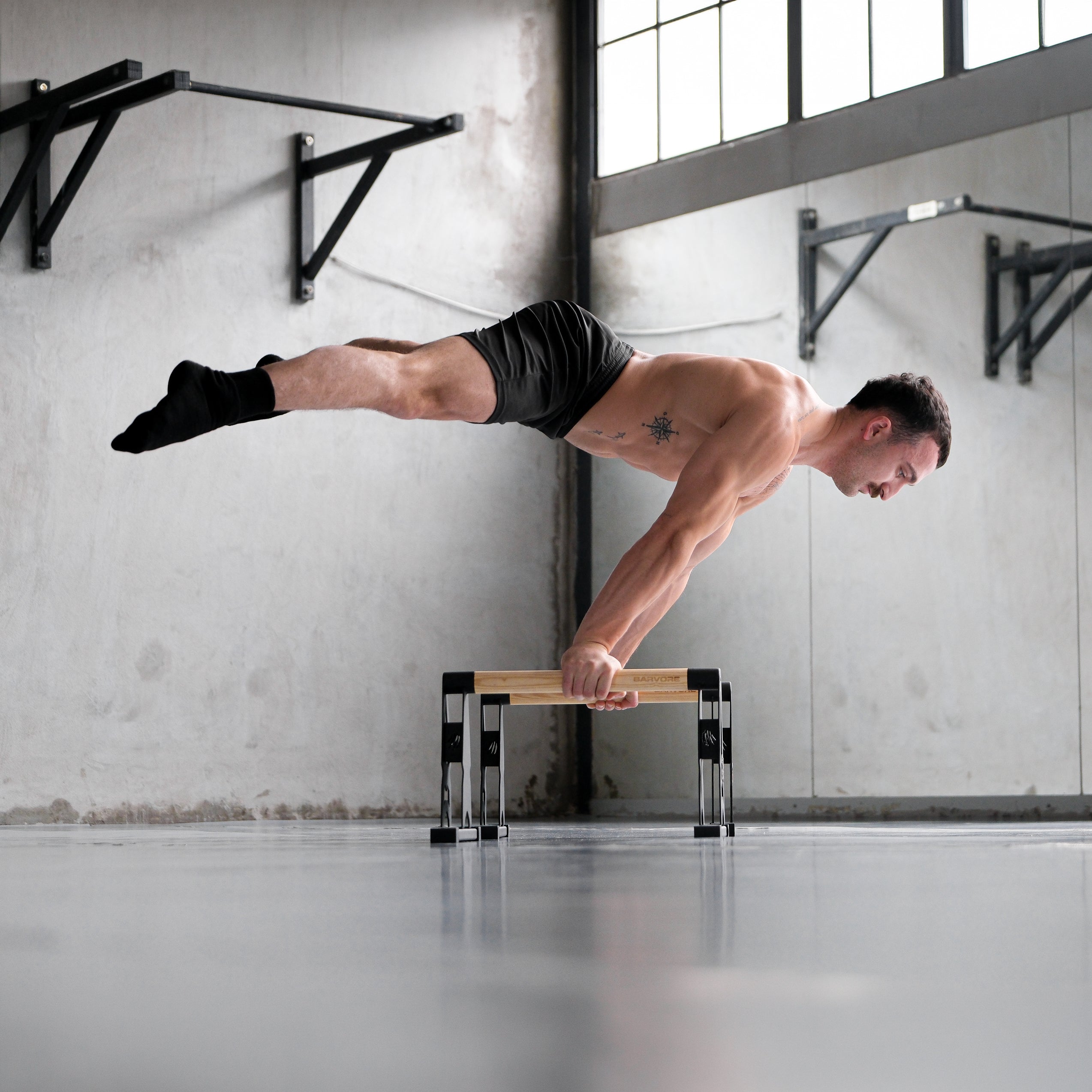 BIG BEAR PARALEL BAR