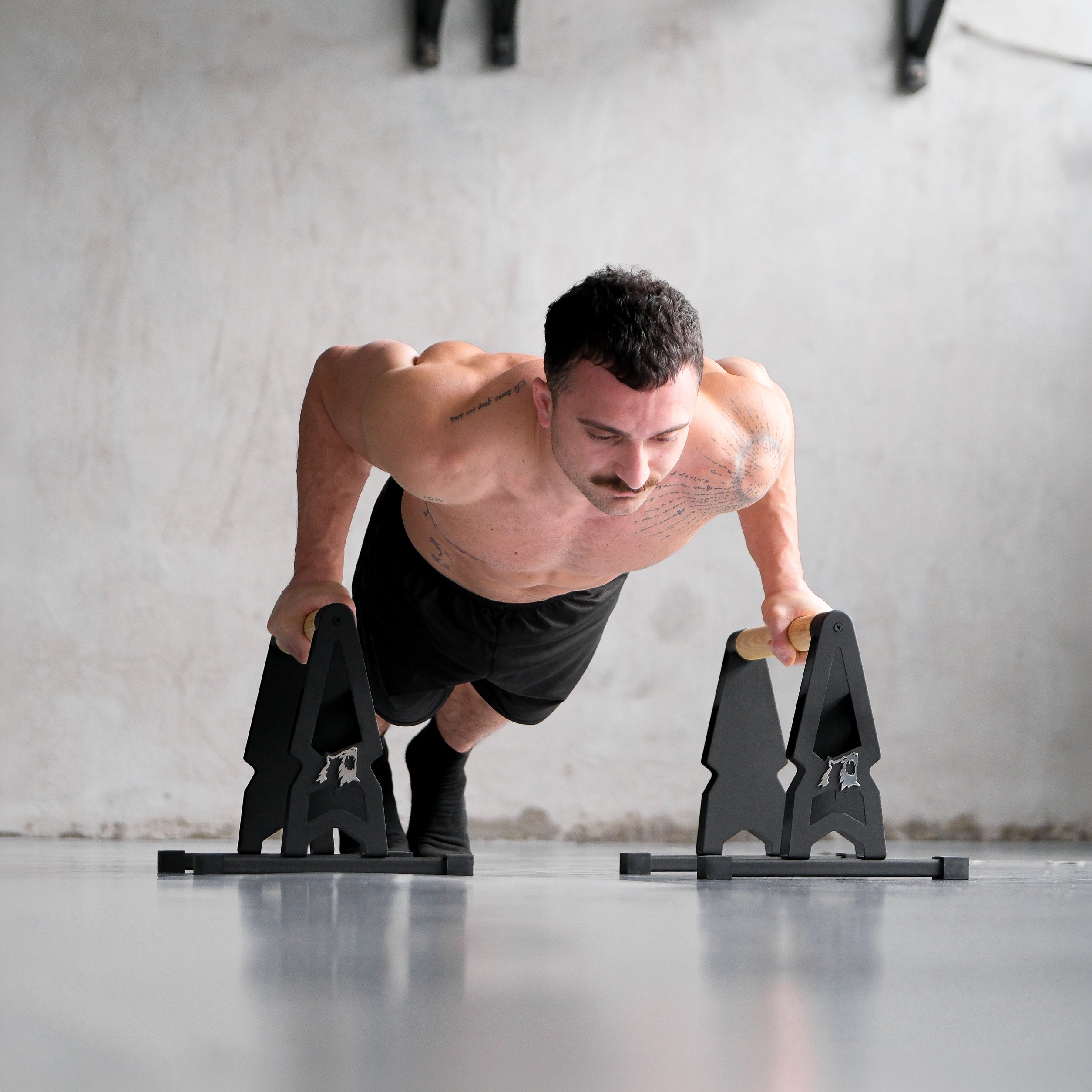 BIG BEAR PARALEL BAR