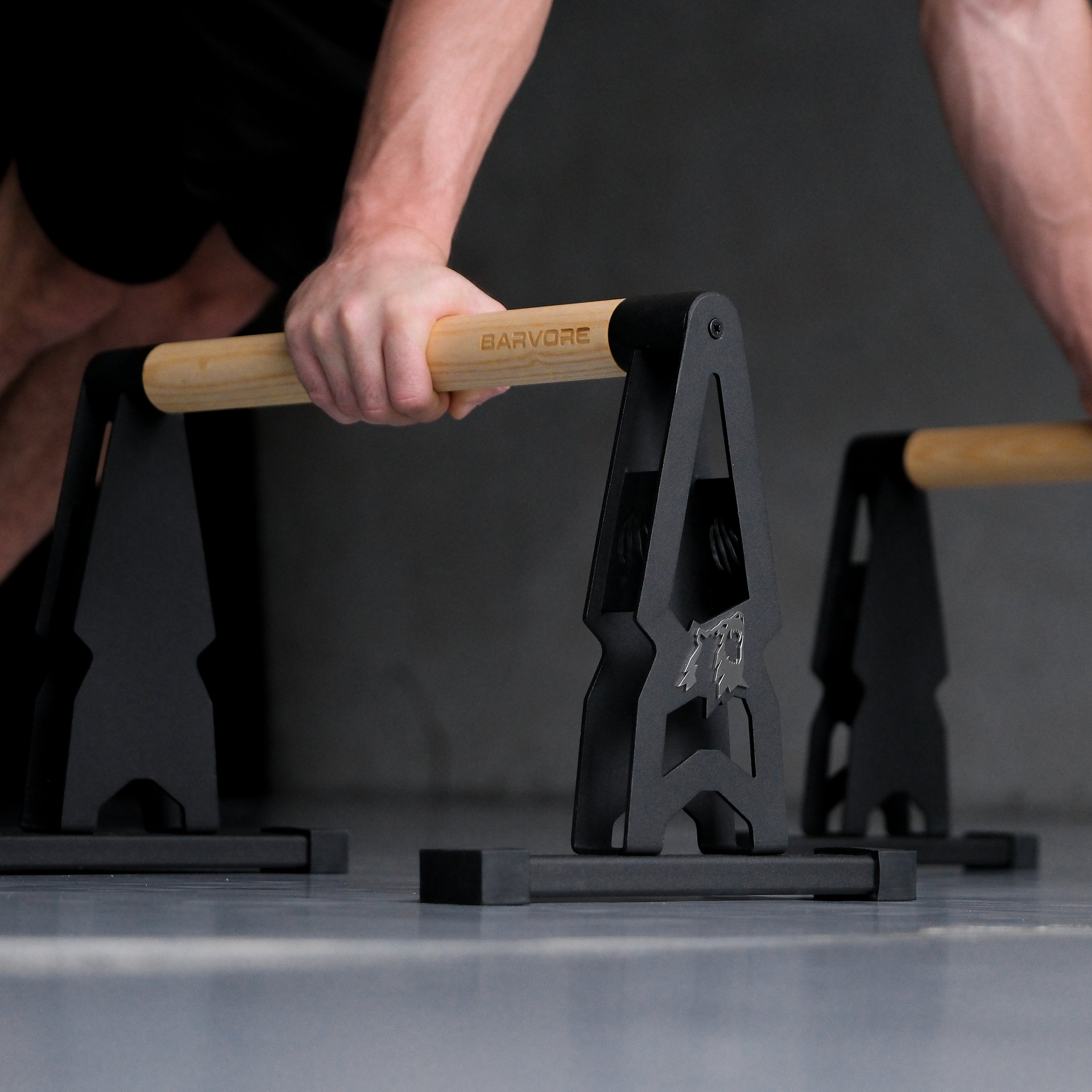 BIG BEAR PARALEL BAR