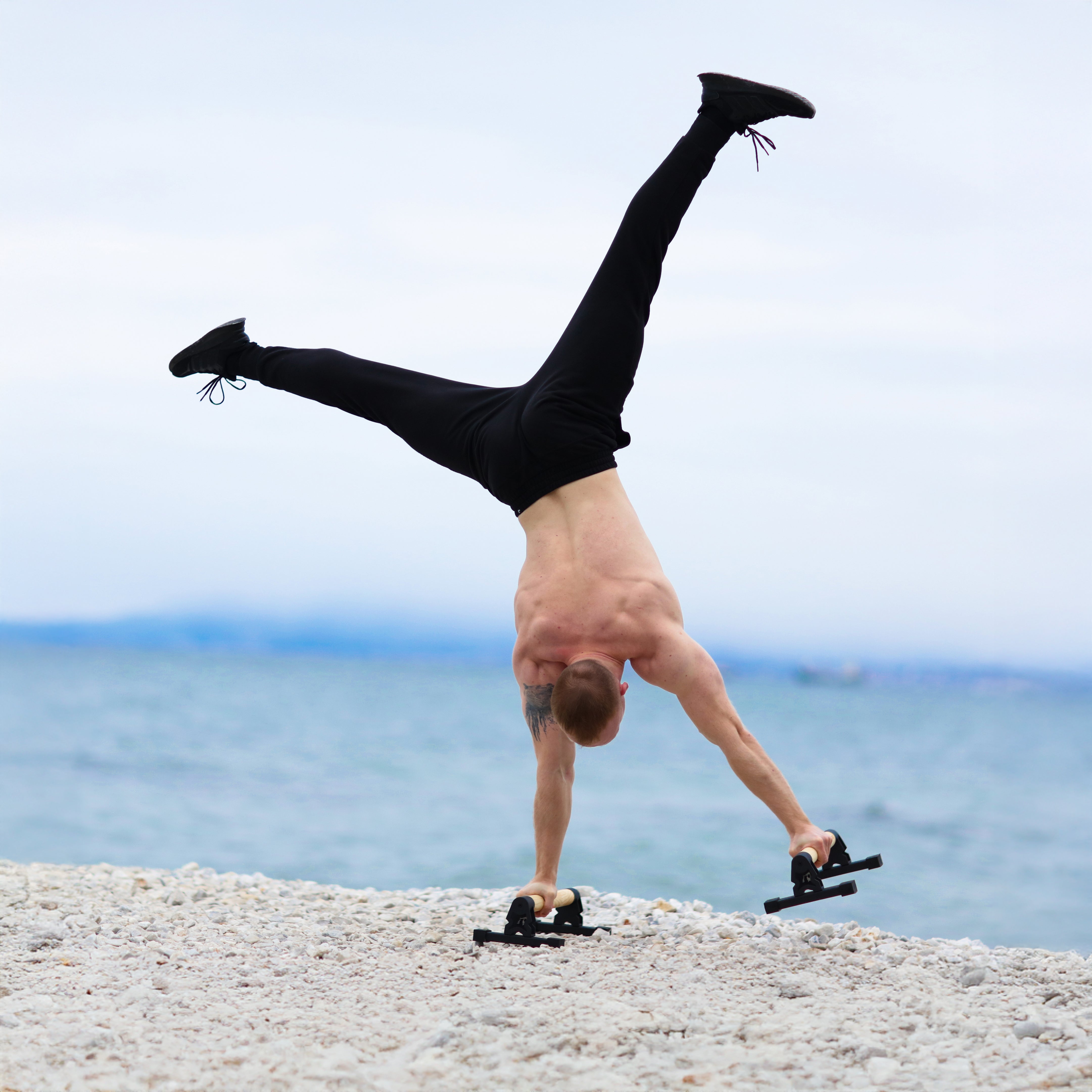 LITTLE BEAR PARALLETTES