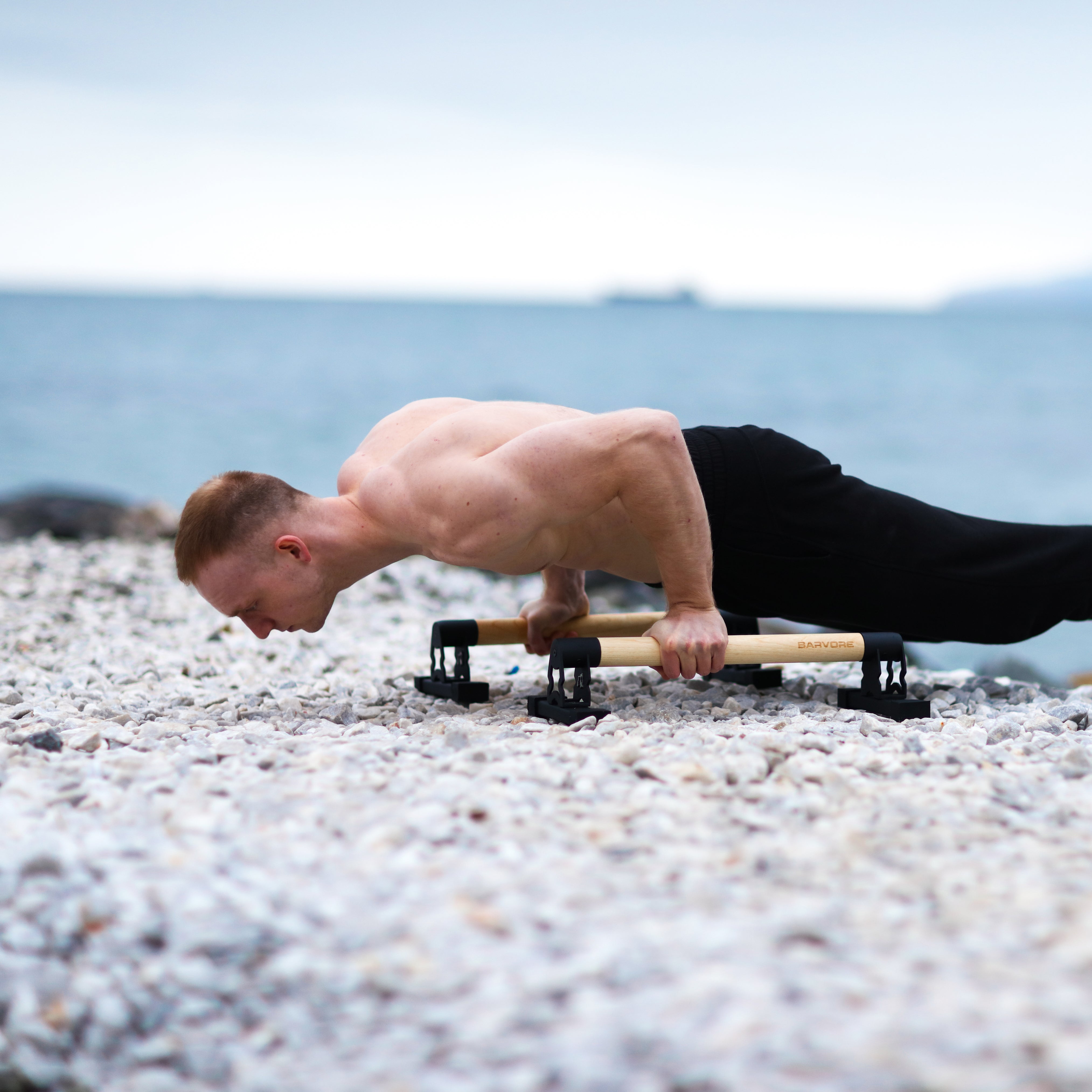 LITTLE BEAR PARALLETTES